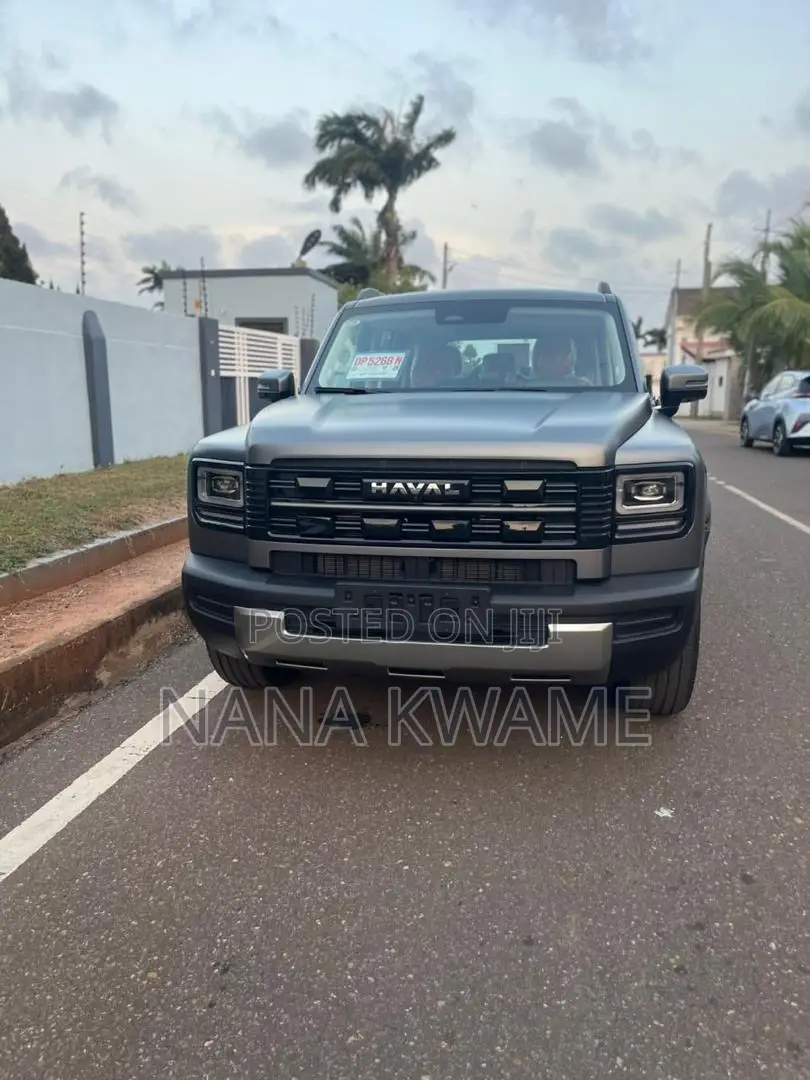 New Haval Menglong 2025 Gray