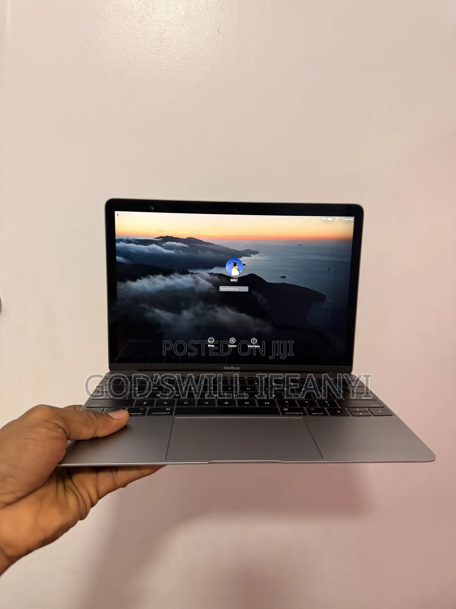 Laptop Apple MacBook 2017 8GB Intel Core i5 SSD 256GB