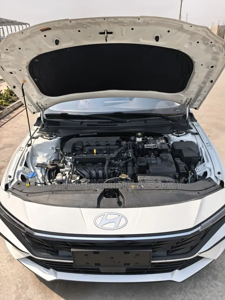 Hyundai Elantra Limited 2024 White
