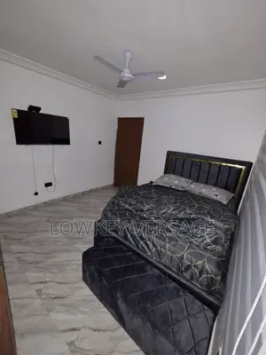 Comfy Two Luxury Beds Apartment + Starlink Internet + DSTV+ Washing Ma