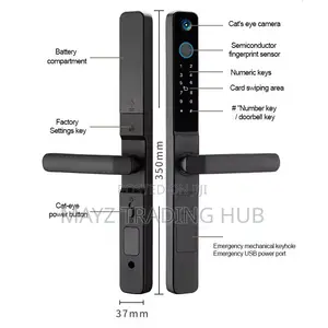 Smart Lock (TT LOCK With Remote Open)