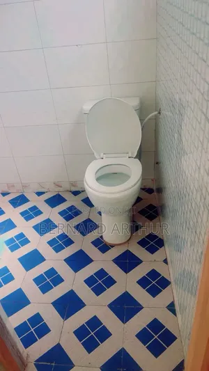 1bdrm Apartment in Bernard Agency, Pokuase for rent