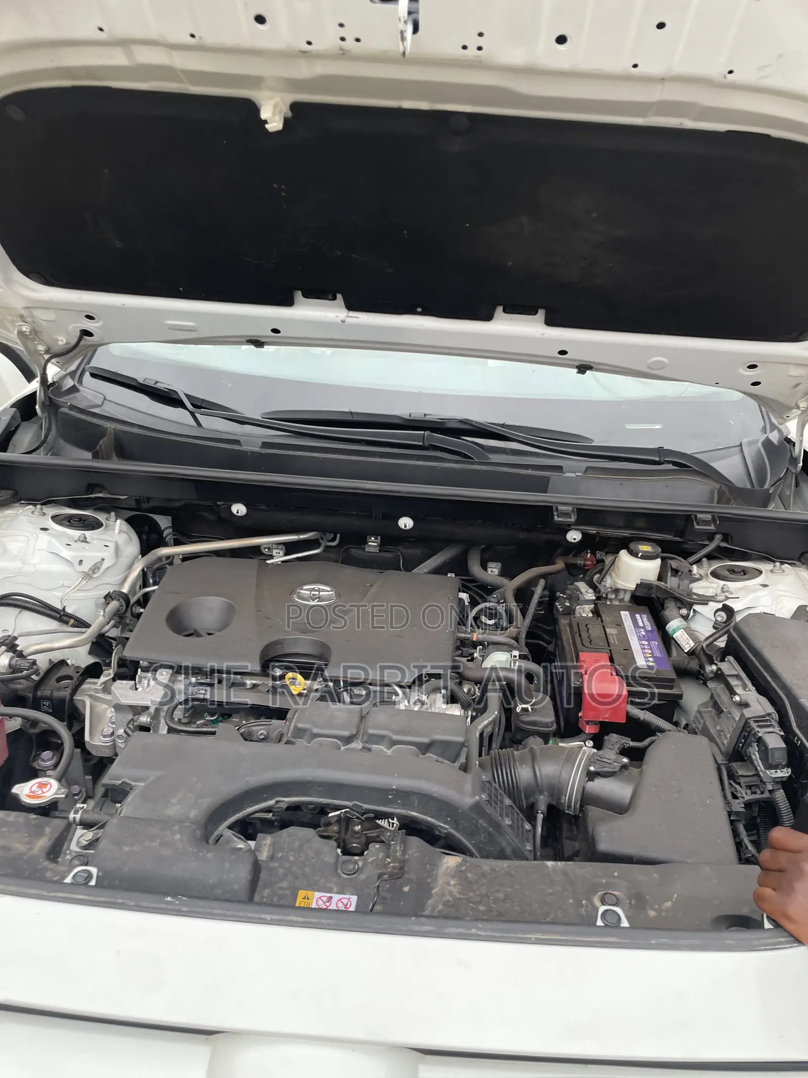 Toyota RAV4 2021 White