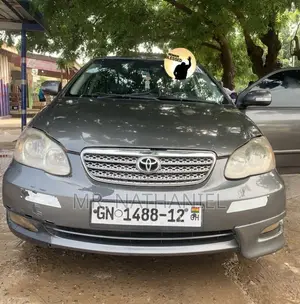Toyota Corolla 2009 Gray