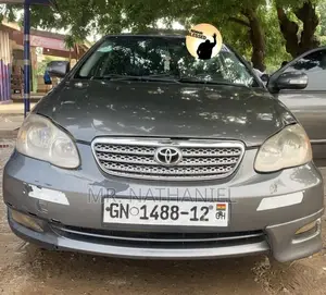 Toyota Corolla 2009 Gray