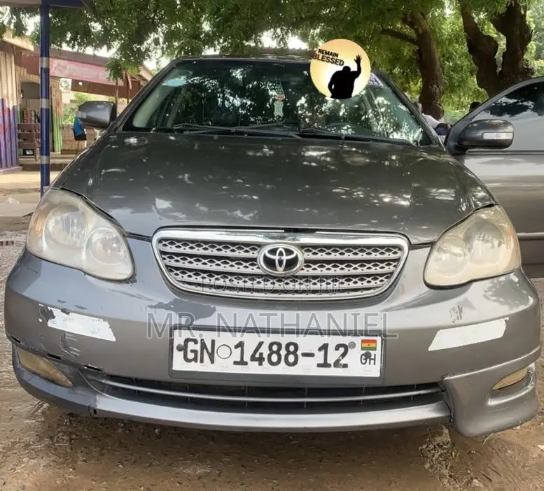 Toyota Corolla 2009 Gray