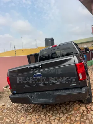 Ford F-150 2020 Gray