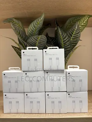 MacBook Charger Cord