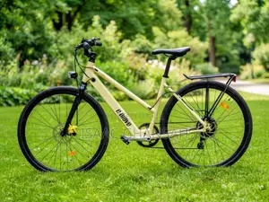 Motorcycle 2023 Green