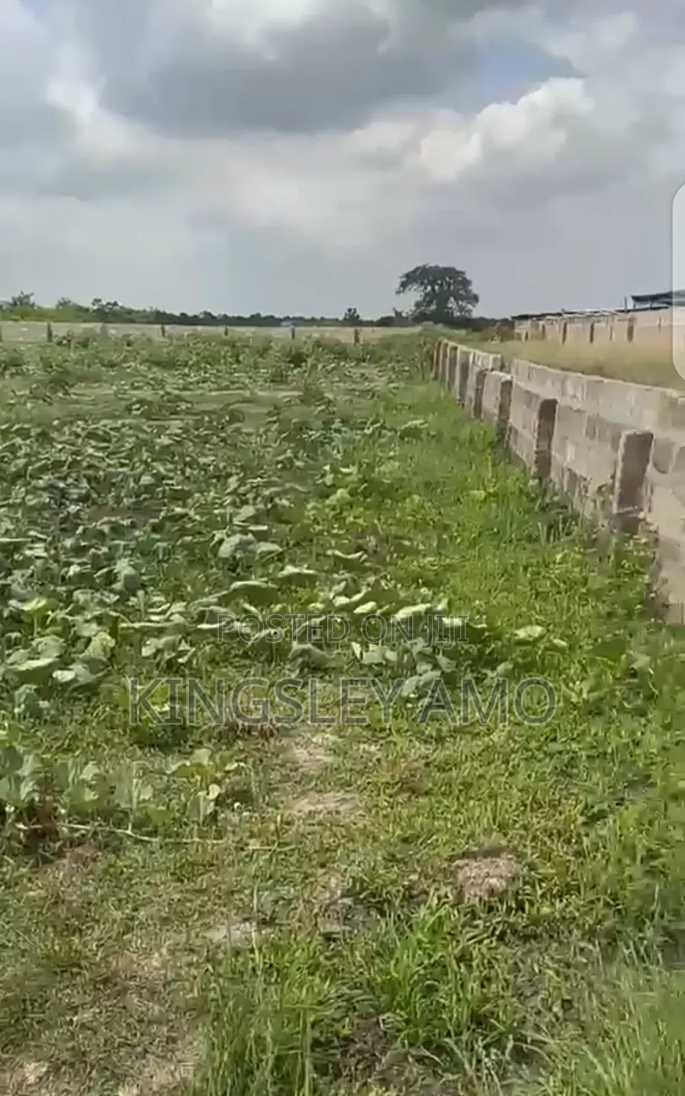 One Arce Plot of Land at Shai Hill