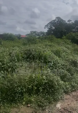 1 Plot of Land for Sale at Kasoa New Road
