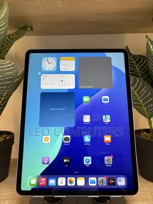 Apple iPad Air 256 GB