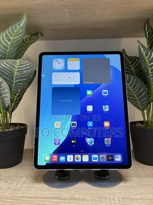 Apple iPad Air 256 GB