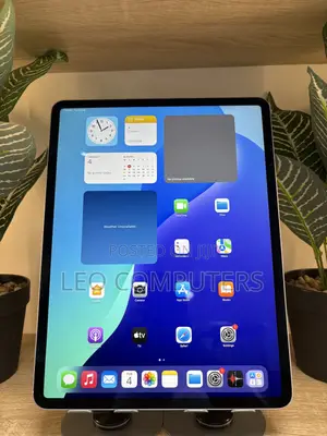 Apple iPad Air 256 GB