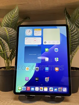 Apple iPad Air 256 GB Gray