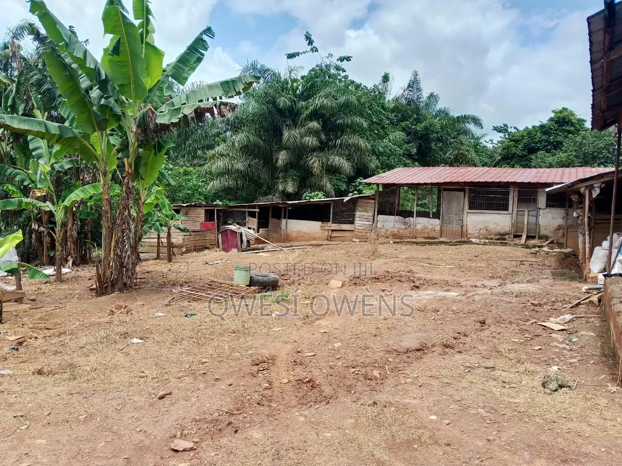 Farm Land for Sale