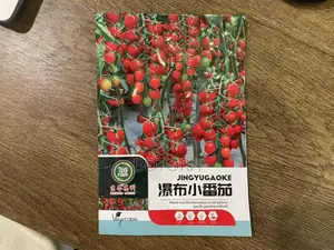 Premium Tomato Seeds – High Yield Garden Farm Vegetable Seeds