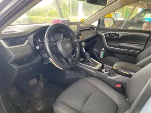 Toyota RAV4 LE AWD 2020 Gray