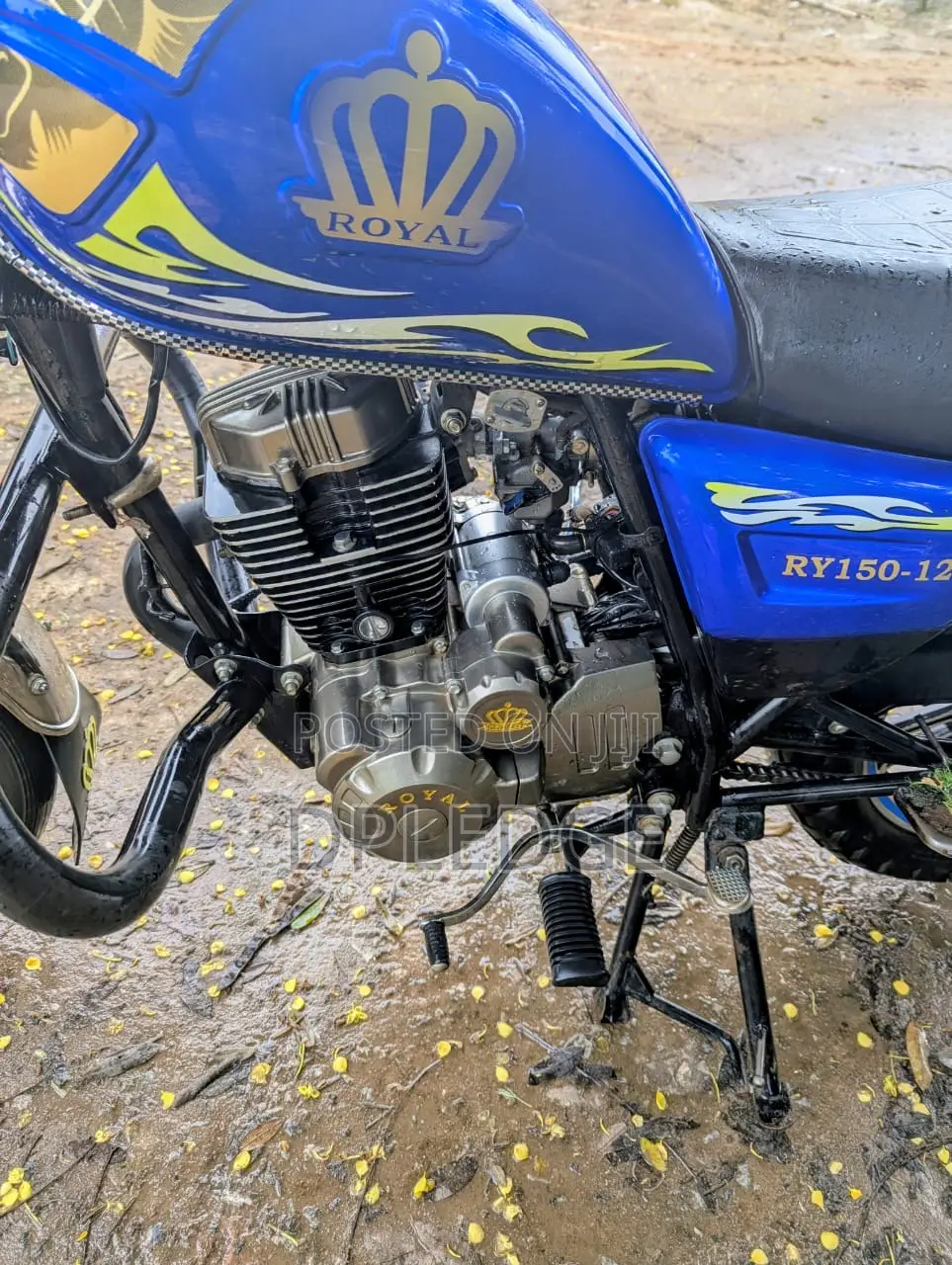 Royal RY150 2026 Blue