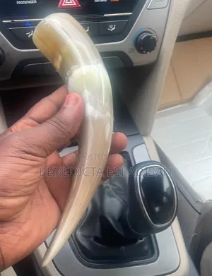 Authentic Anointing Horns