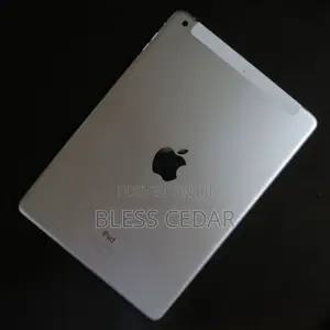 Apple iPad Air 16 GB Gray