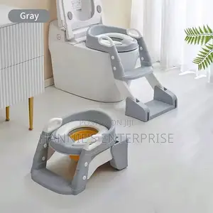 2-in-1 Potty Training Seat