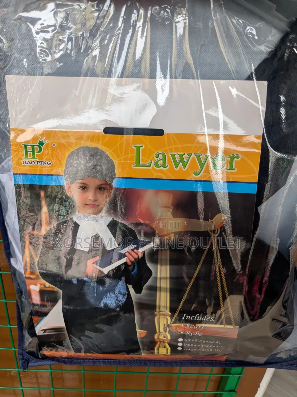 Law Court Lawyer