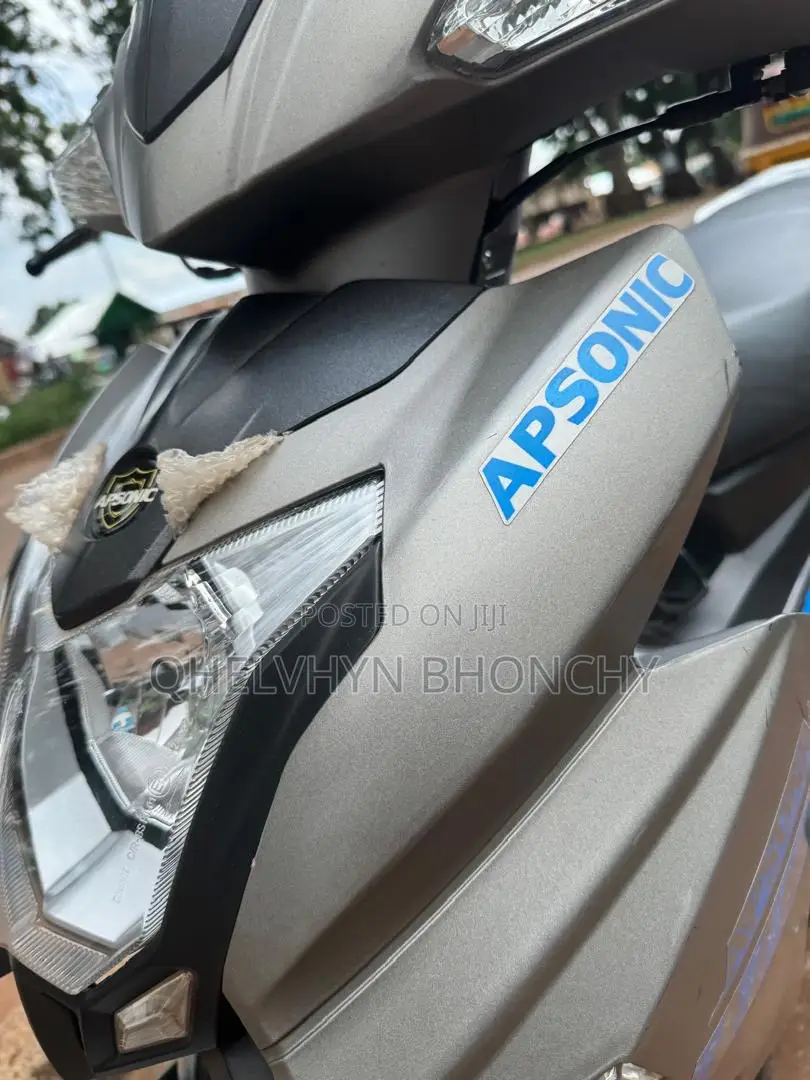 Apsonic AP110 2024 Gray