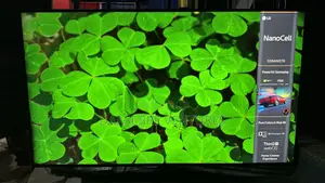 LG 55” NanoCell Smart TV(2023 Model)