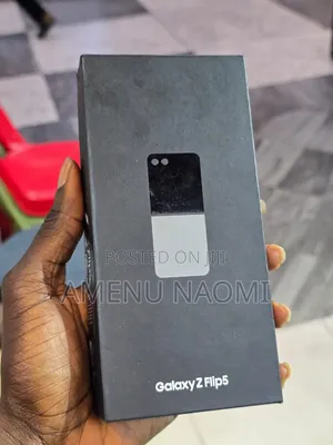Samsung Galaxy Z Flip5 256 GB Silver