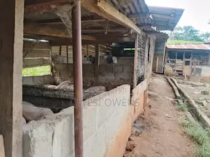 Farm Land for Sale