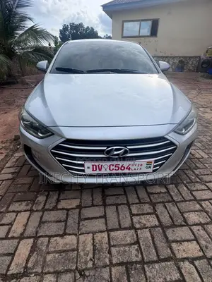 Hyundai Elantra ECO Sedan FWD (1.4L 4cyl 7A) 2017 Silver