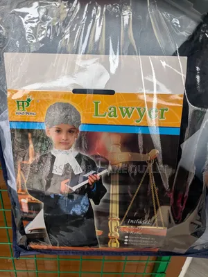 Law Court Lawyer