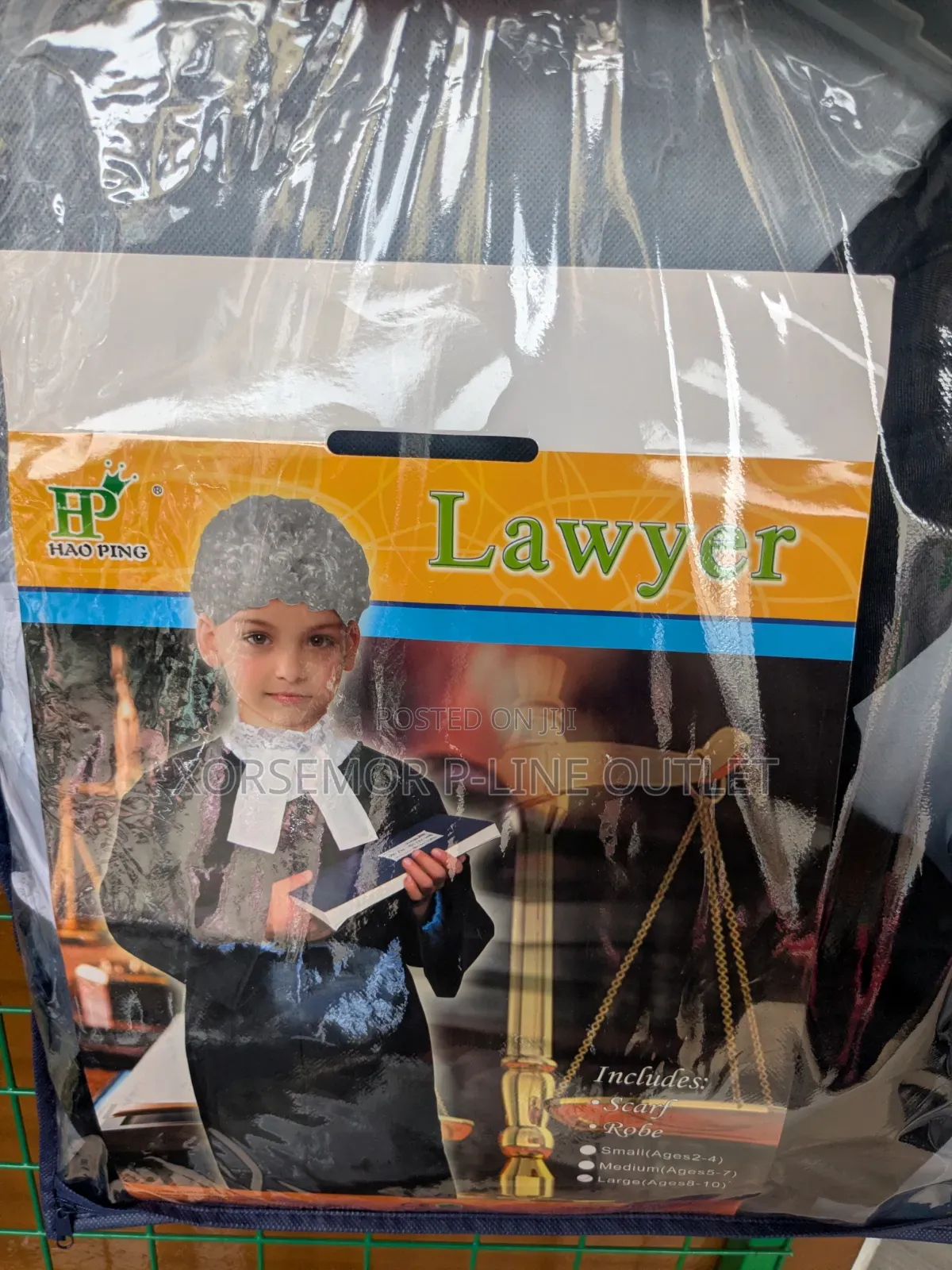 Law Court Lawyer