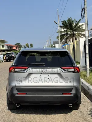 Toyota RAV4 LE FWD 2020 Gray