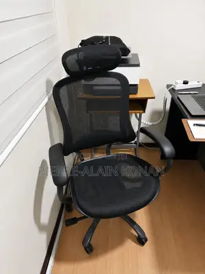 Ergonomic Orthopedic Mesh Chair ONLY