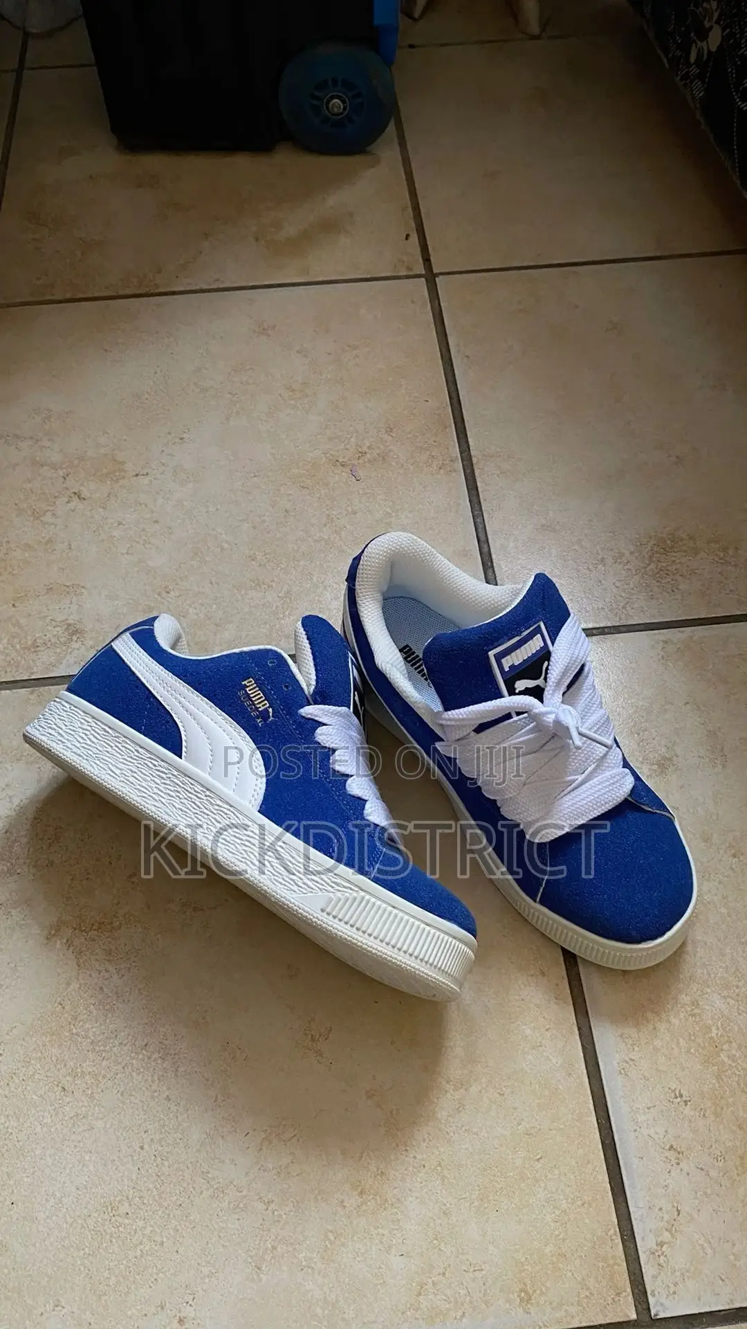 Puma Seude (Blue /Red/Black )