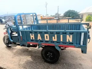 Tricycle 2025 Blue