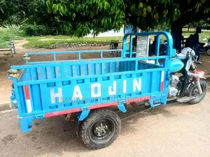 Tricycle 2025 Blue