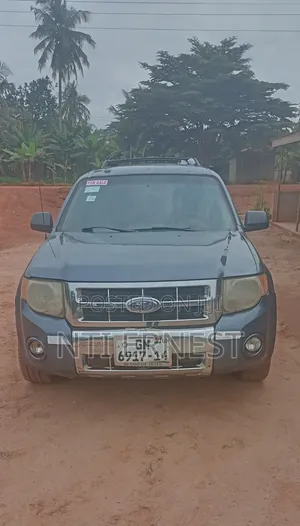 Ford Escape 2009 Gray