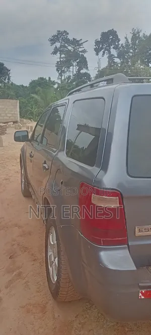 Ford Escape 2009 Gray