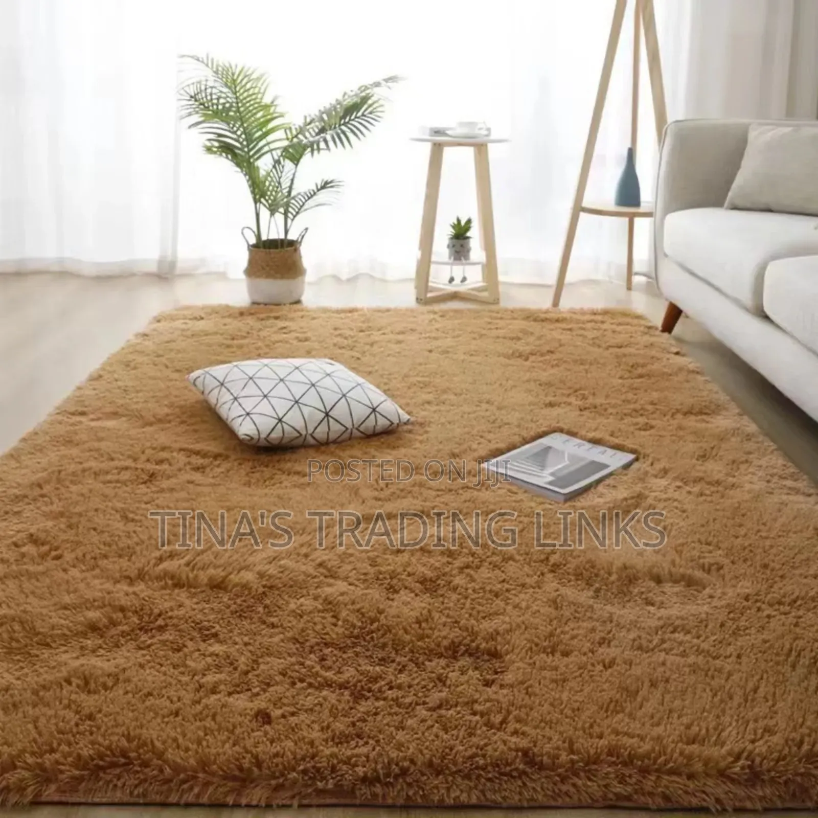 Fluffy Carpet