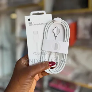 Original Apple Type C Cable.