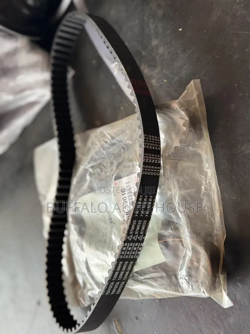 Timing Belt Toyota 94/25