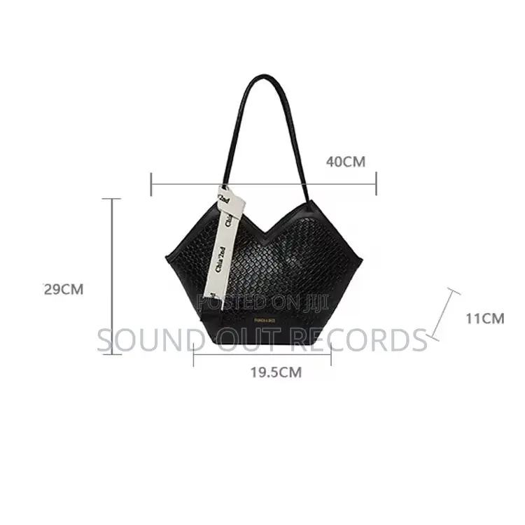 Chia-2nd v-Shaped Hand Bag