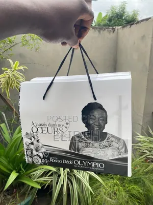 Paper Box Bag