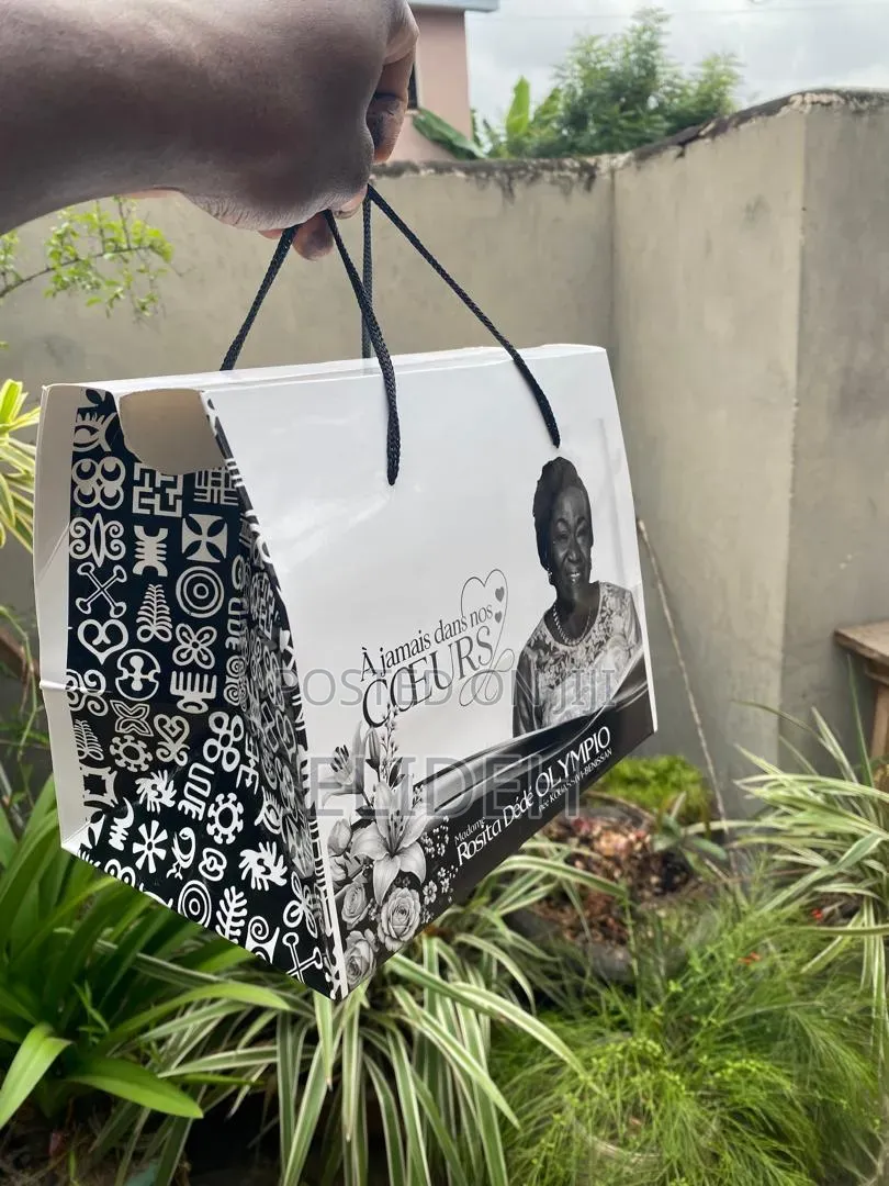 Paper Box Bag
