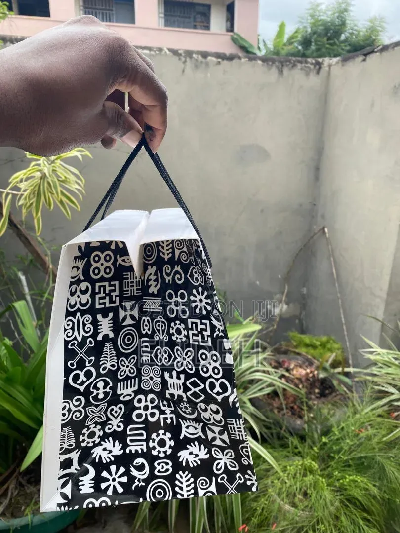 Paper Box Bag