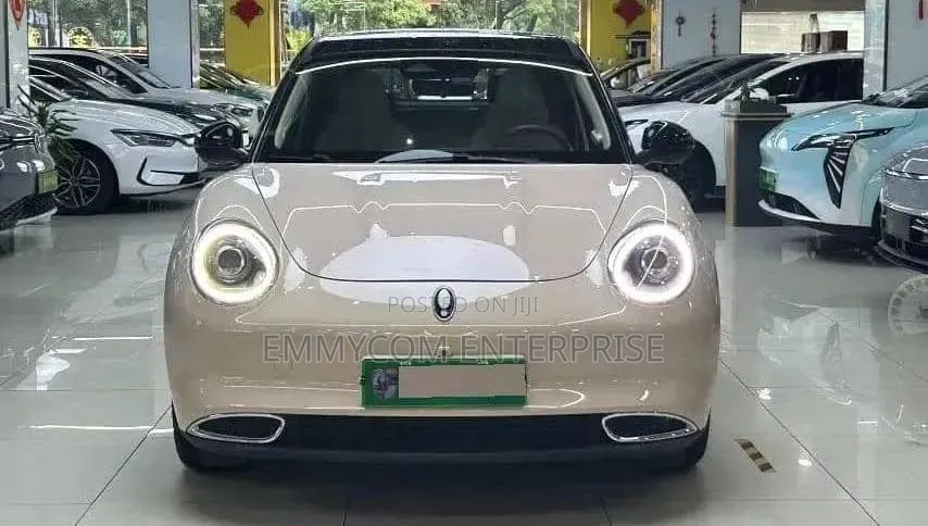 Hozon Neta V 2020 Brown