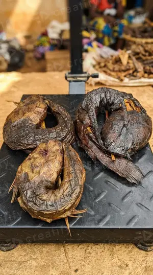 Smoked Catfish | Tilapia Available